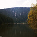 Plesne Jezero, Picture 8, Sumavsky Narodni Pamatka, Bohemia(CZ), 2007