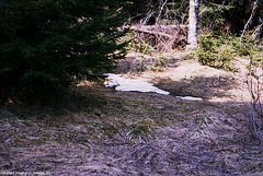 Plesne Jezero, Picture 9 (Actually of a snowdrift), Sumavsky Narodni Pamatka, Bohemia(CZ), 2007