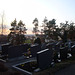 Sunset on the graves