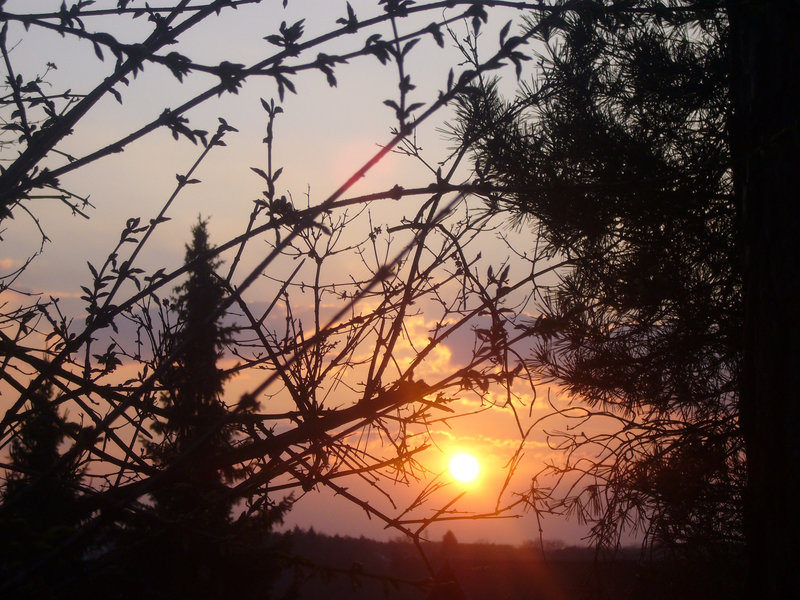 sunset 2009-04-03