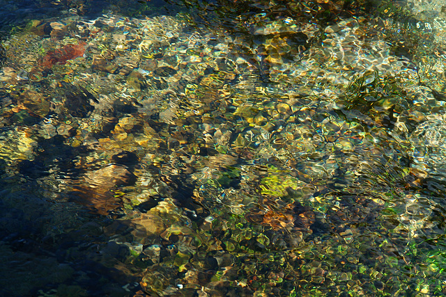 Das klare Wasser der Glonn