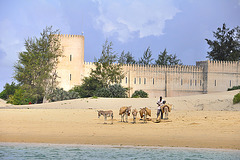 Das Fort