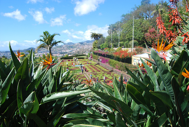 Jardin botanique de Funchal