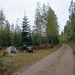 Im Wald in Finnland ist übrigens _ERLAUBT_!