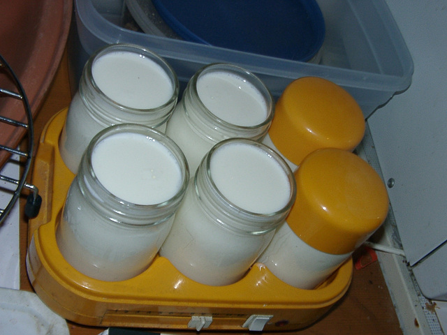 Yogurt-Machine / Ayran-machine (the turkish yogurt)