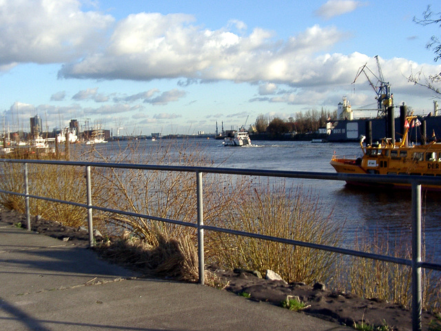 Hamburg Port, from Fischmarkt