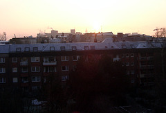 Morningsun in winter