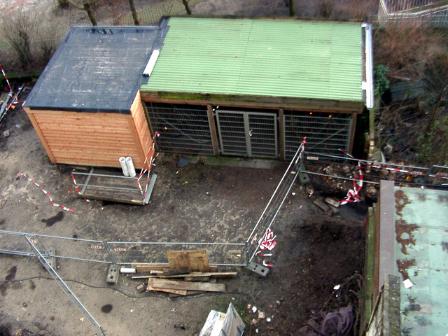 The backyard during renovation