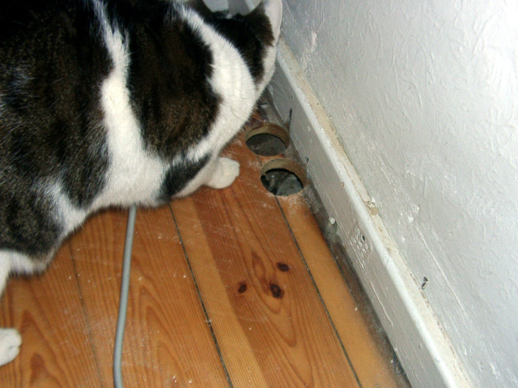 Rocky inspect the holes