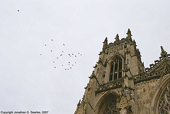 York Minster Pigeons, York, North Yorkshire, England(UK), 2007