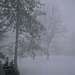 Snowstorm, Picture 2, Clinton, NY, USA, 2007