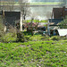 Haus / Garten - domo / ĝardeno - maison / jardin - house / garden April 2009
