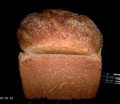 Whole Wheat Oatmeal Bread 1