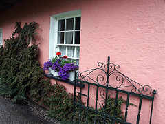 pink cottage