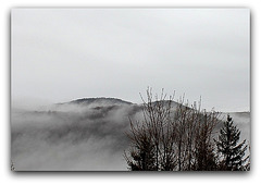 Brouillard  (2)