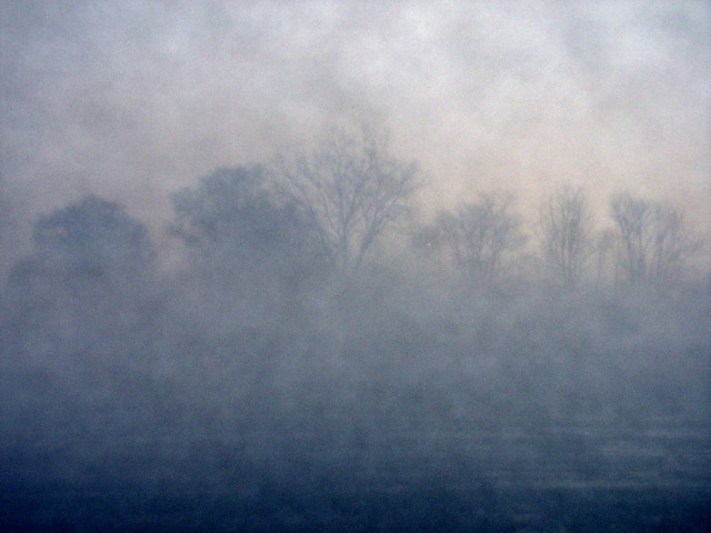 Foggy Night Foggy Night