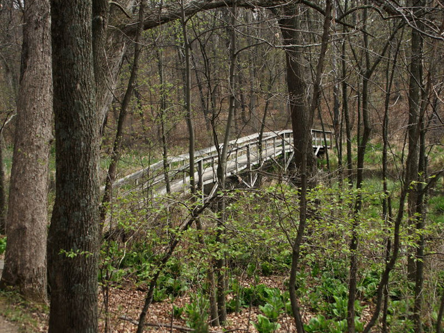 Bridge Bridge