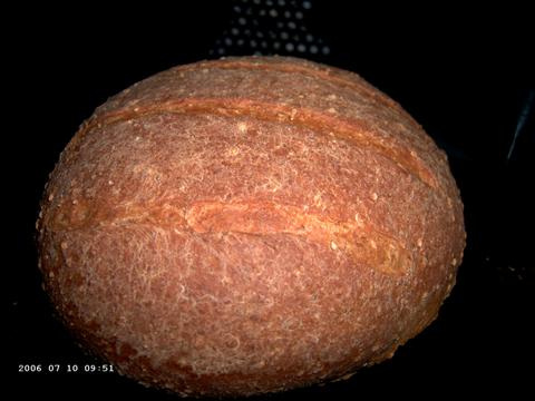 Sesame Whole-Wheat Bread