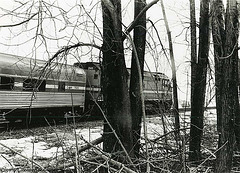 Amtrak #241 In The Trees, Southbound With Train #68, Plattsburgh, NY, USA, 1999