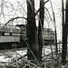 Amtrak #241 In The Trees, Southbound With Train #68, Plattsburgh, NY, USA, 1999