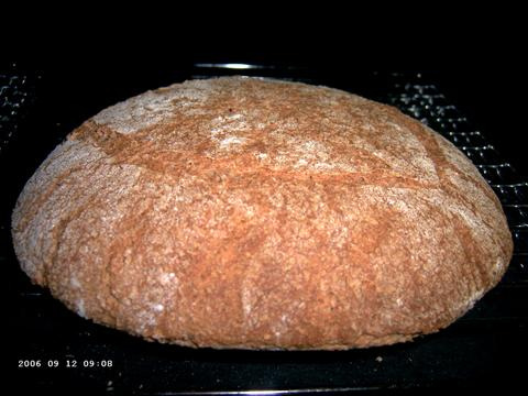 Mislukt 100% Whole Grain Hearth Bread
