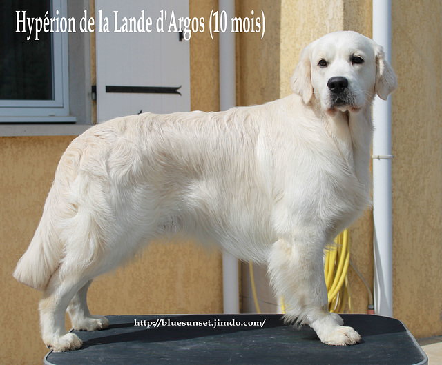 Hypérion (10 mois) Hypérion (10 mois)