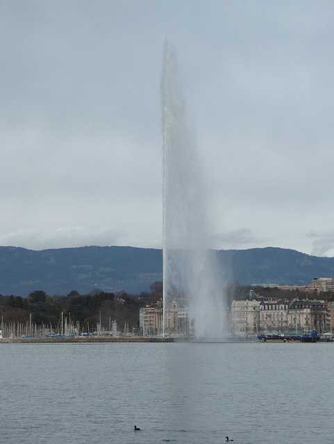 Geyser in Geneva port
