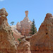 Bryce Canyon - Solitaire