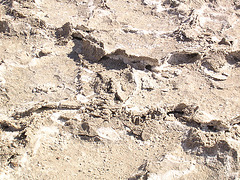 Death Valley - Die Erde bricht auf!