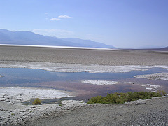Death Valley - Badwater Pool