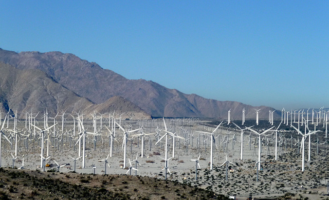 Windmills West Of Indian (2887)