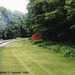 1998 NRHS Convention Special On The ADCX, Picture 2, Nelson Lake, NY, USA, 1998