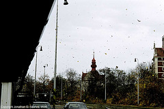 Flying Leaves, Nadrazi Branik, Prague, CZ, 2006