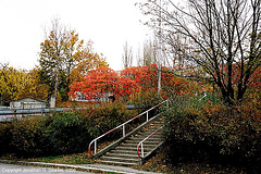 Fall Colors, Kacerov, Prague, CZ, 2006