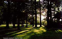 Sunset Through Trees, Cesky Krumlov, South Bohemia(CZ), 2006