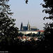 St. Vitus's Cathedral Framed By Trees, Prague, CZ, 2006