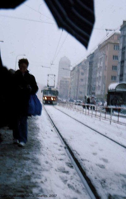 DPP #7058 In The Snow, Flora, Prague, CZ, 2007