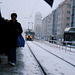 DPP #7058 In The Snow, Flora, Prague, CZ, 2007