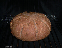 Wheat Walnut Loaf 1