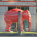 HFF with red elephant