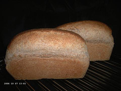 Spelt Sourdough Bread 1
