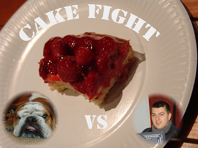 cake fight