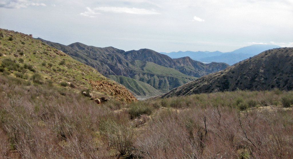 PCT View Into Whitewater Canyon (8948)