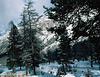 Swiss Landscape, Picture 2, near Pontresina, Switzerland, 1998