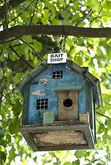 Birds house