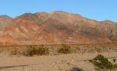Along Badwater Road (3375)