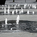 London City Hall fountains