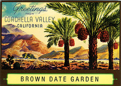 Brown Date Garden postcard