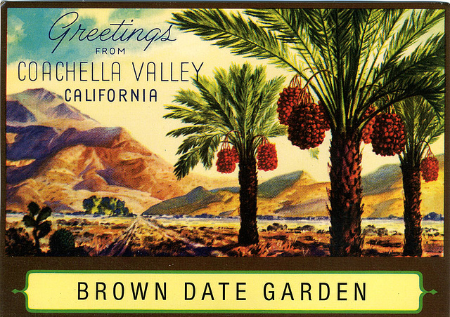 Brown Date Garden postcard
