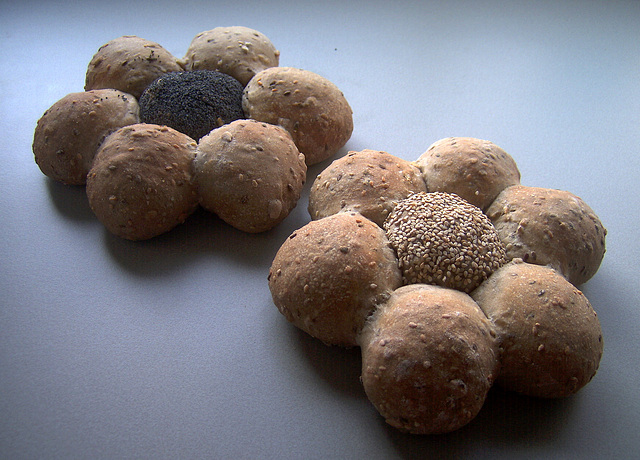 3x is scheepsrecht - Daisy Loaves (with small rolls)